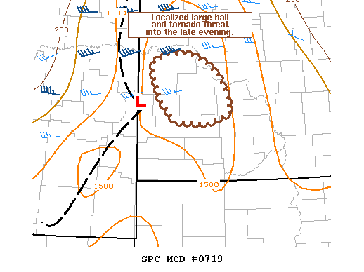 Mesoscale Discussion 719