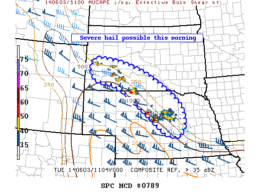 Mesoscale Discussion 789