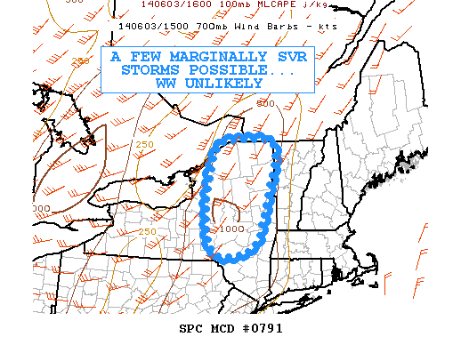 Mesoscale Discussion 791