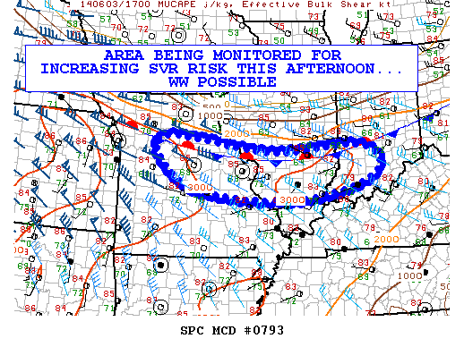 Mesoscale Discussion 793