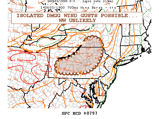 Mesoscale Discussion 797