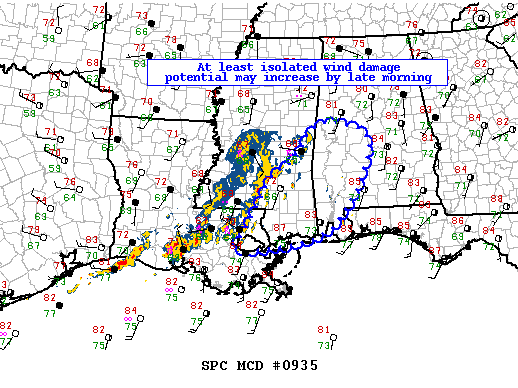 Mesoscale Discussion 935