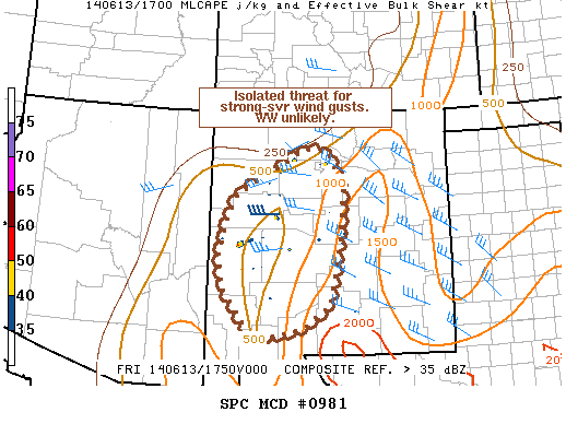 Mesoscale Discussion 981