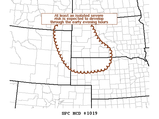 Mesoscale Discussion 1019