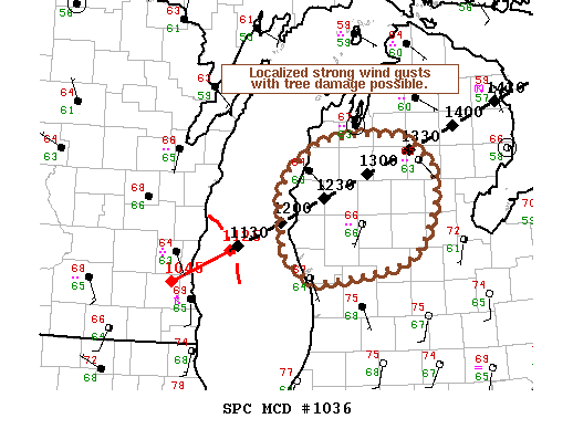 Mesoscale Discussion 1036