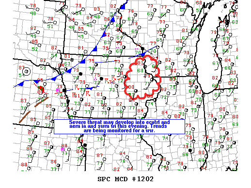 Mesoscale Discussion 1202