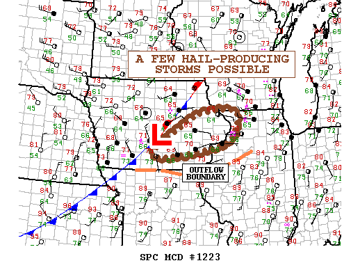 Mesoscale Discussion 1223