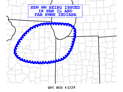 Mesoscale Discussion 1229