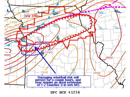 Mesoscale Discussion 1234