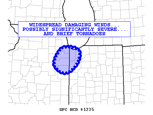 Mesoscale Discussion 1235