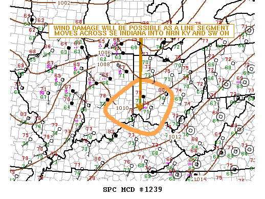 Mesoscale Discussion 1239