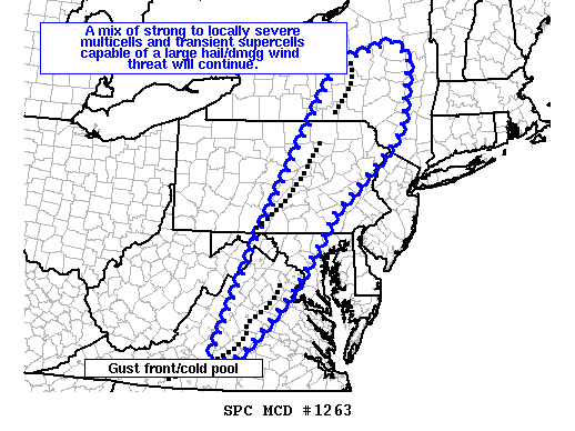 Mesoscale Discussion 1263