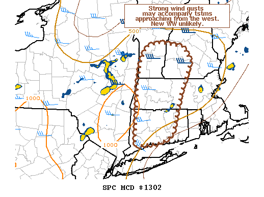 Mesoscale Discussion 1302