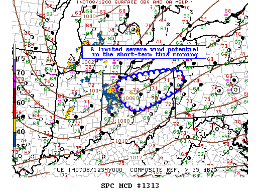 Mesoscale Discussion 1313