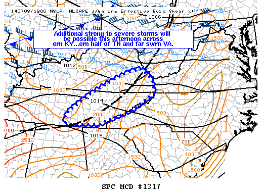 Mesoscale Discussion 1317