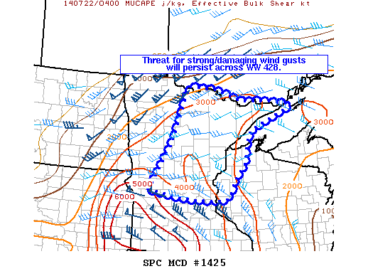 Mesoscale Discussion 1425