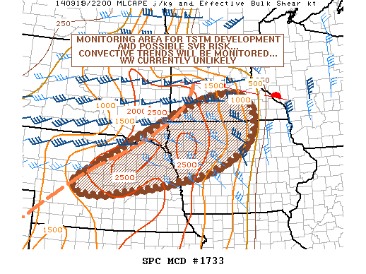 Mesoscale Discussion 1733