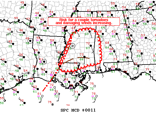 Mesoscale Discussion 11