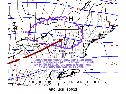 Mesoscale Discussion 12