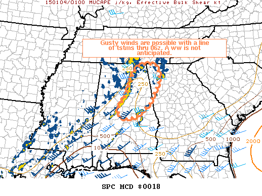 Mesoscale Discussion 18