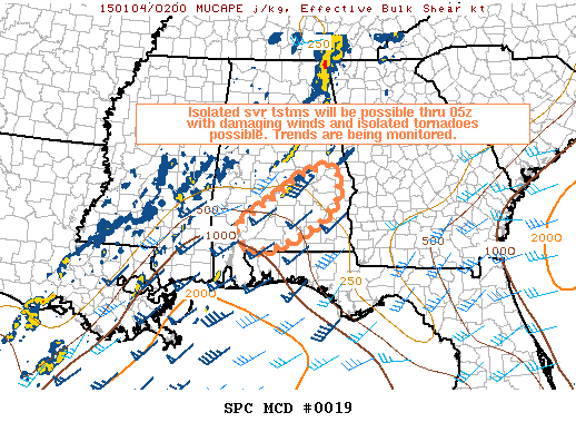 Mesoscale Discussion 19