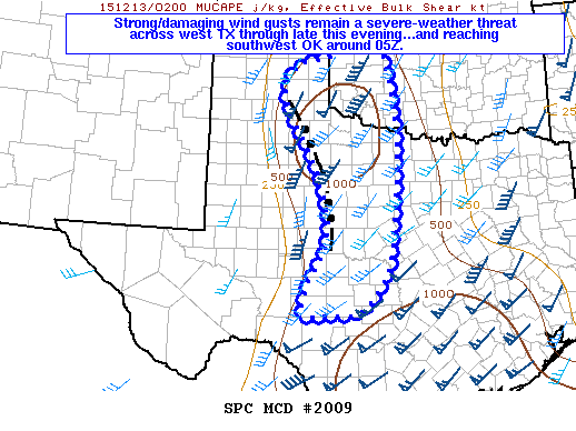 Mesoscale Discussion 2009