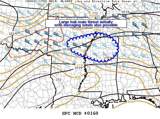 Mesoscale Discussion 160