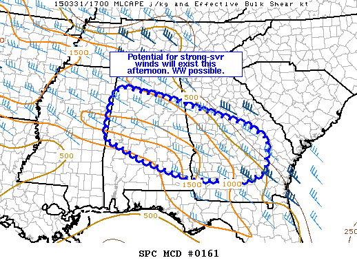 Mesoscale Discussion 161
