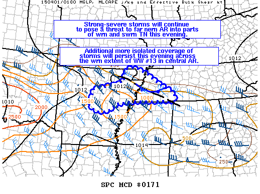 Mesoscale Discussion 171