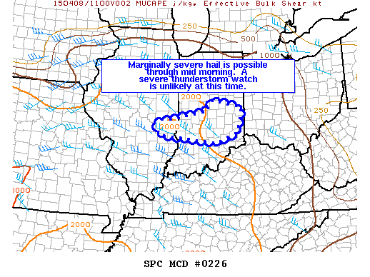 Mesoscale Discussion 226