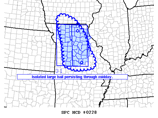 Mesoscale Discussion 228