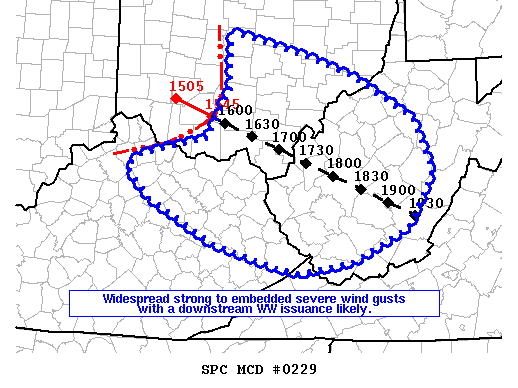 Mesoscale Discussion 229