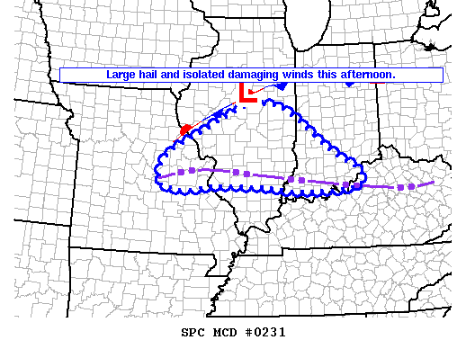 Mesoscale Discussion 231