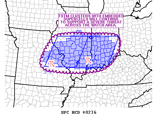 Mesoscale Discussion 236