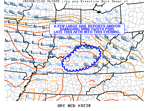 Mesoscale Discussion 238