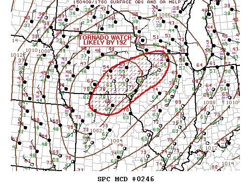 Mesoscale Discussion 246
