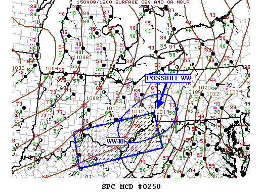Mesoscale Discussion 250