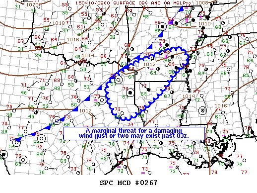 Mesoscale Discussion 267