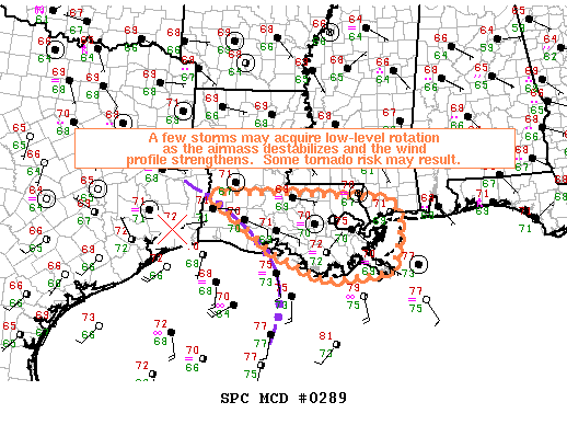 Mesoscale Discussion 289