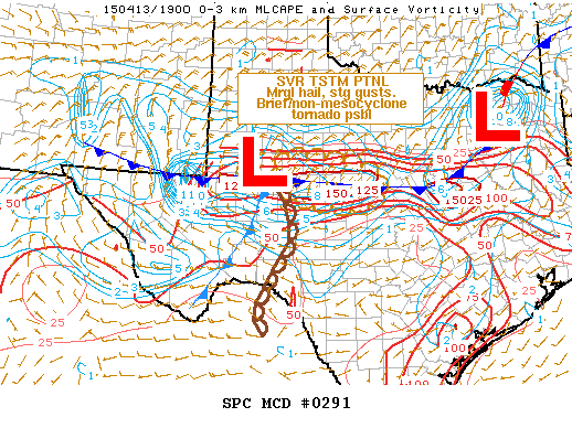 Mesoscale Discussion 291