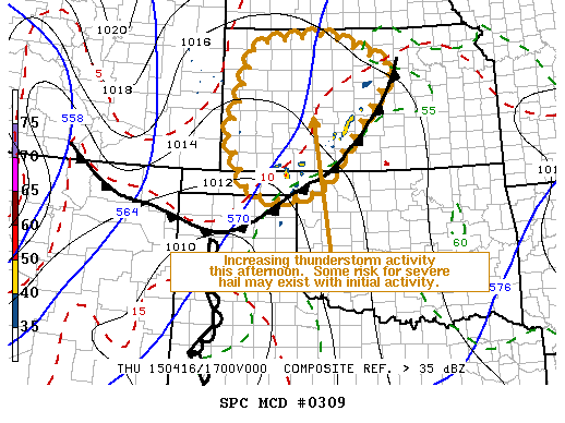 Mesoscale Discussion 309
