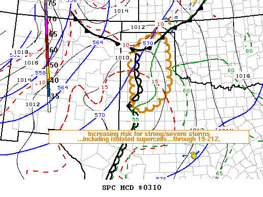 Mesoscale Discussion 310