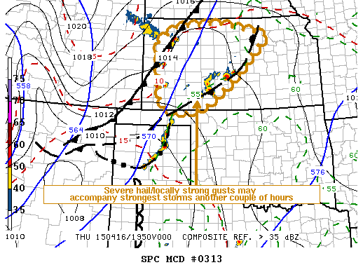 Mesoscale Discussion 313