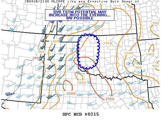 Mesoscale Discussion 315
