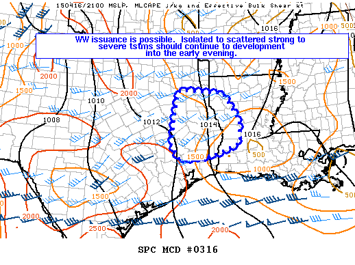 Mesoscale Discussion 316