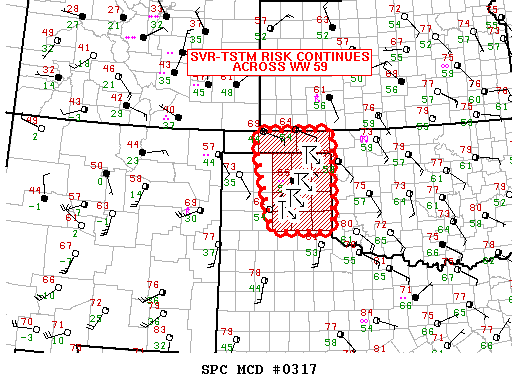Mesoscale Discussion 317