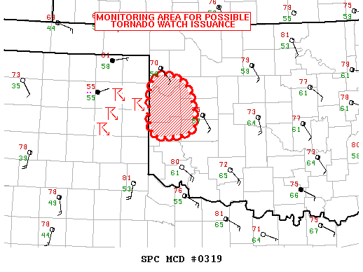 Mesoscale Discussion 319