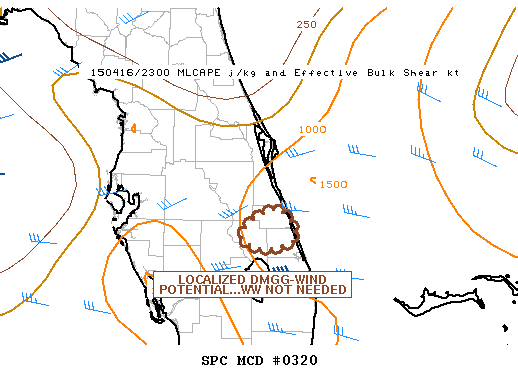 Mesoscale Discussion 320