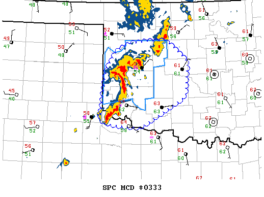 Mesoscale Discussion 333