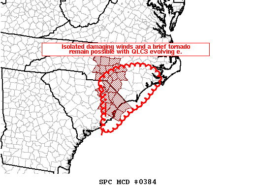 Mesoscale Discussion 384